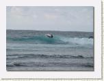 PIC251 * 652 x 492 * (35KB)