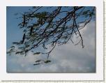 PIC350 * 652 x 492 * (56KB)